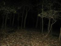Chicago Ghost Hunters Group investigates Robinson Woods (114).JPG